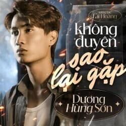 Không Duyên Sao Gặp Lại Remix