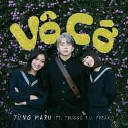 Vô Cớ Remix